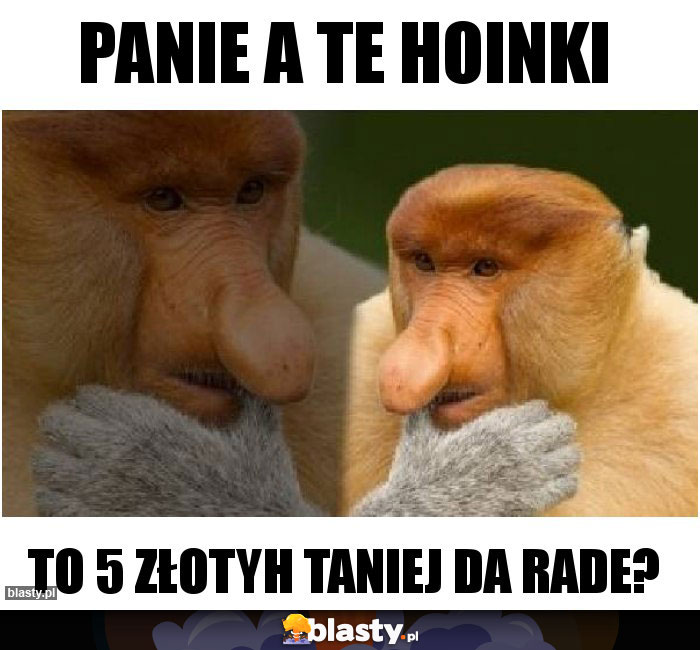 PANIE A TE HOINKI