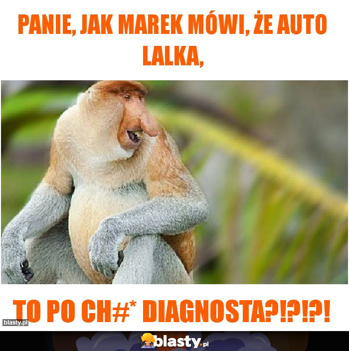 Panie, jak Marek mówi, że auto lalka,
