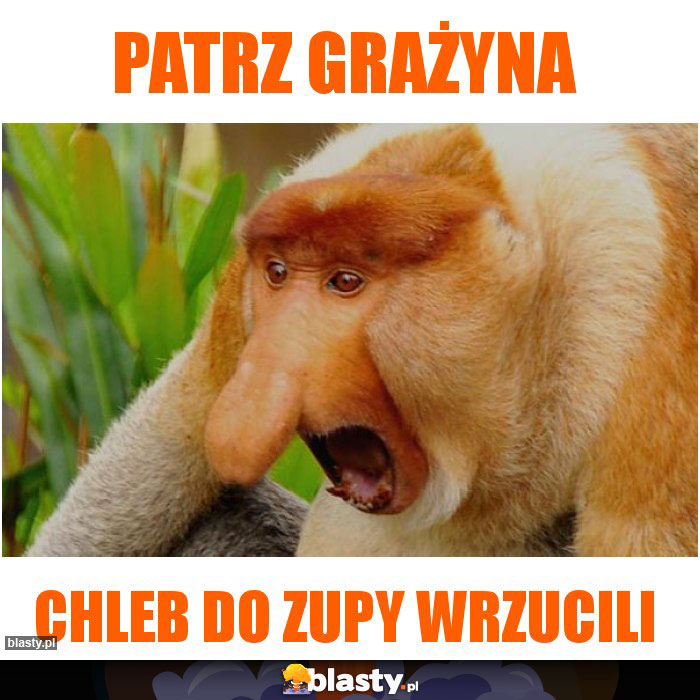 Patrz Grażyna