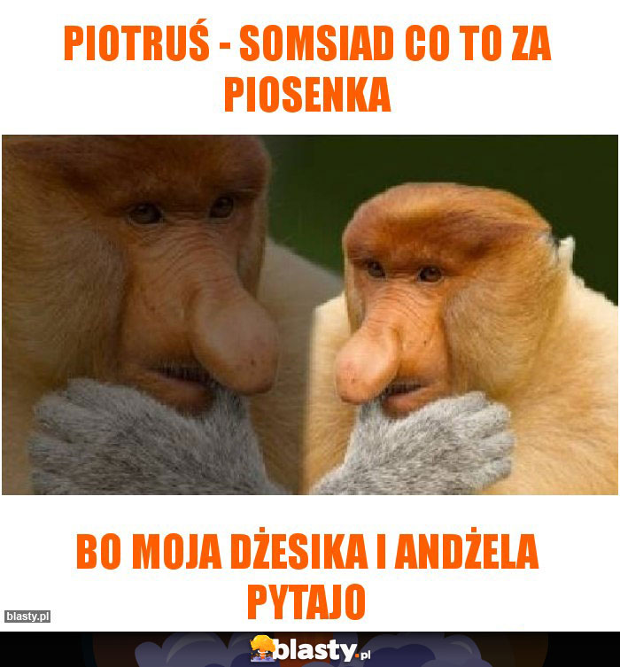 Piotruś - somsiad co to za piosenka