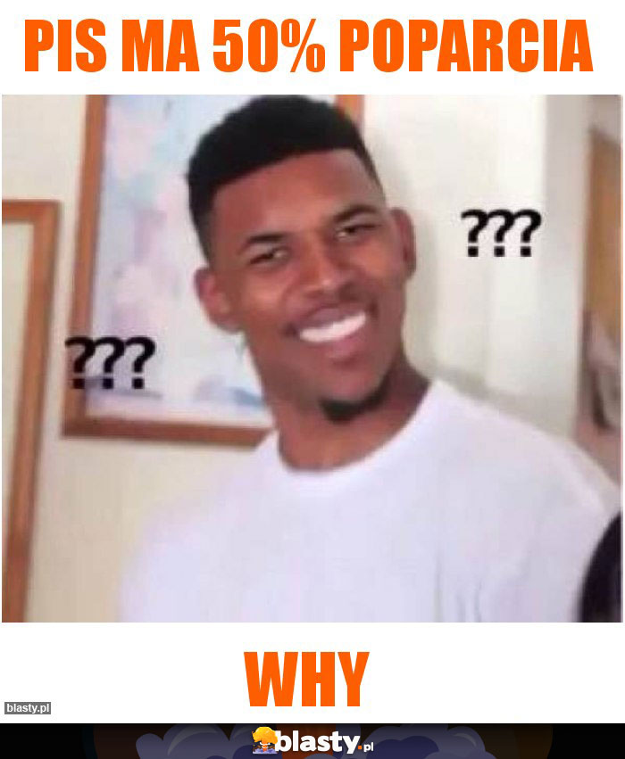 PiS ma 50% poparcia