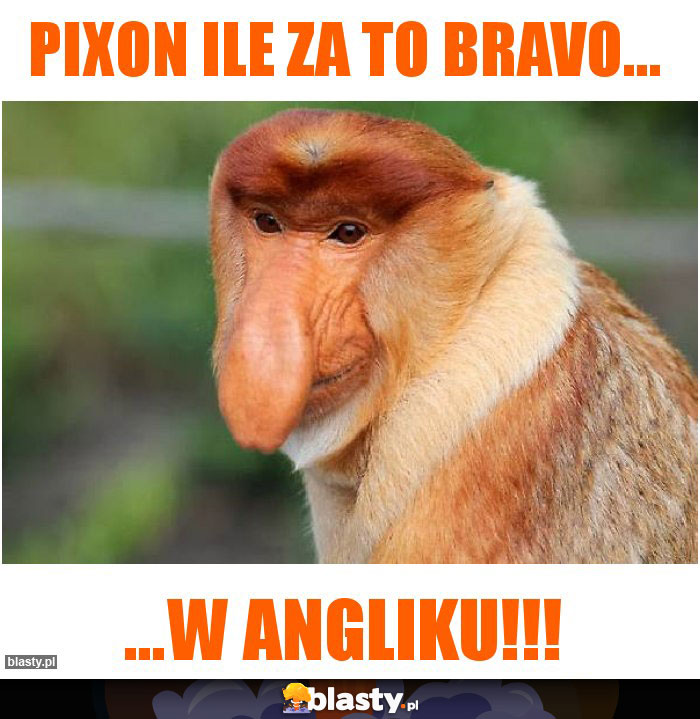 Pixon ile za to Bravo...