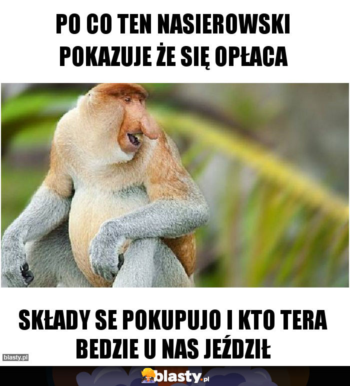 po co ten Nasierowski pokazuje że się opłaca