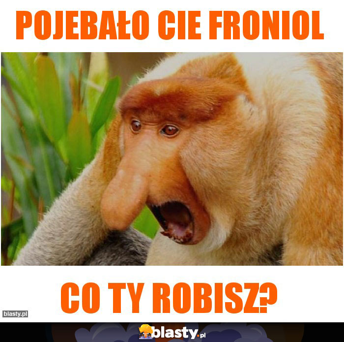 Pojebało cie froniol