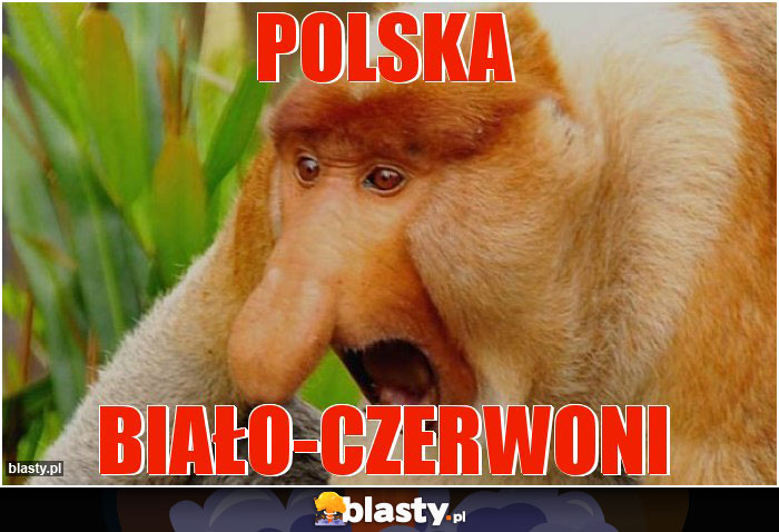 POLSKA