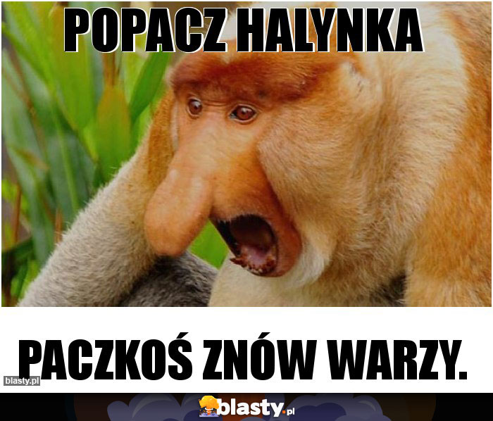 Popacz Halynka