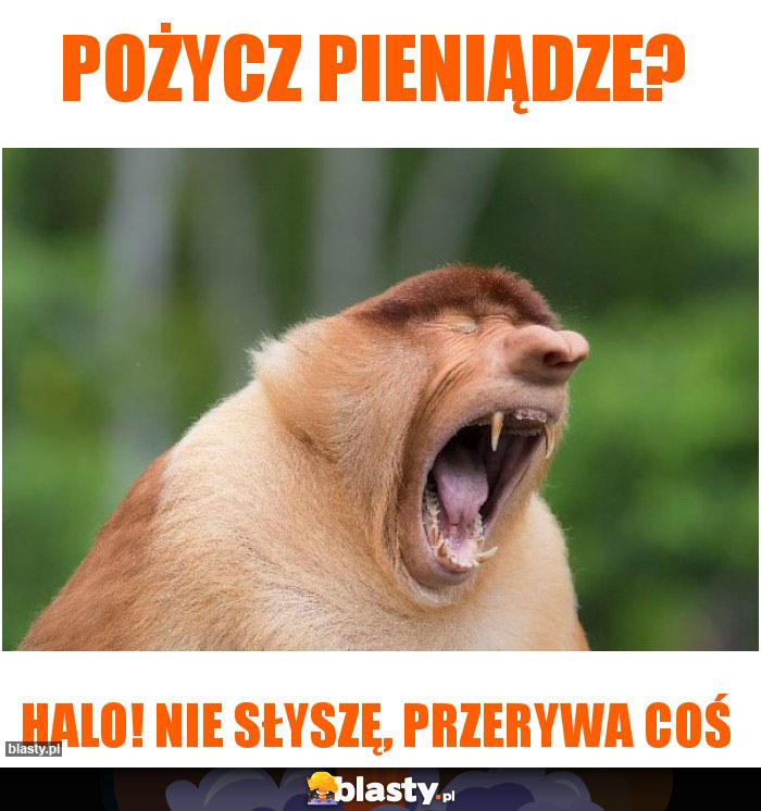 POŻYCZ PIENIĄDZE?