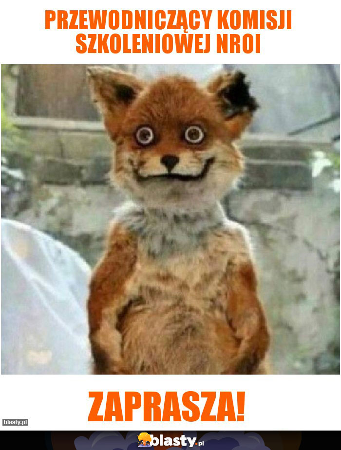 Przewodniczący Komisji Szkoleniowej NROI