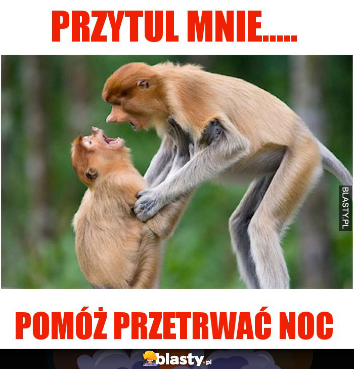 PRZYTUL MNIE.....