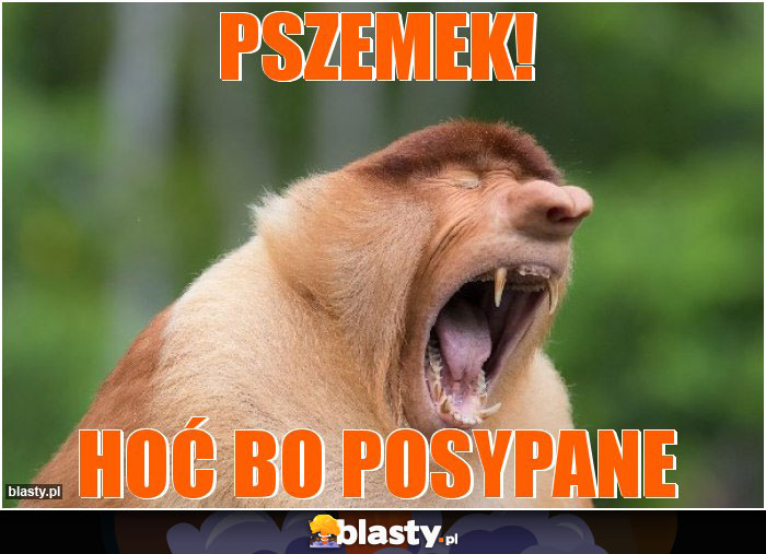 pszemek!