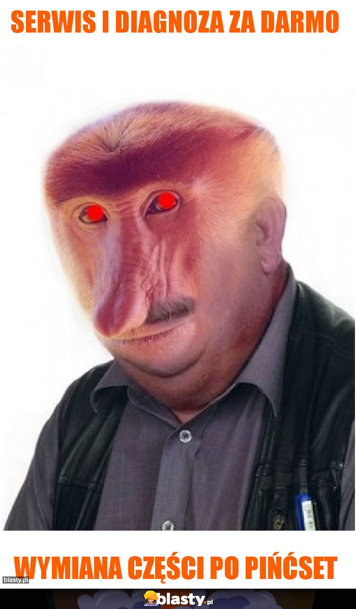 Serwis i diagnoza za darmo