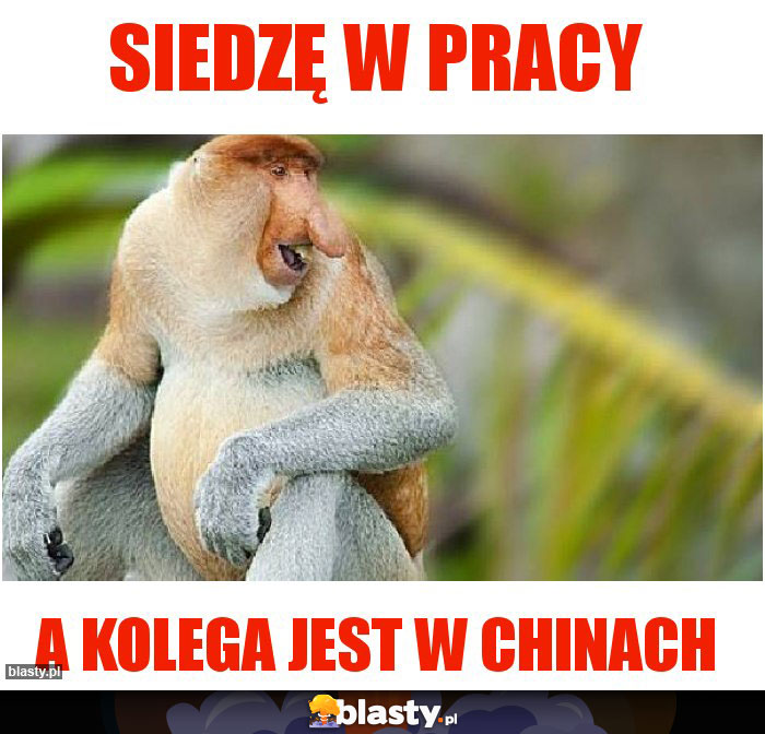 Siedzę w pracy