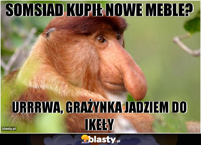 somsiad kupił nowe meble?