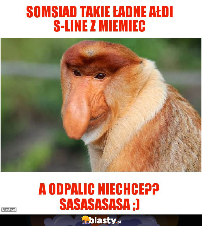 somsiad takie ładne ałdi s-line z miemiec