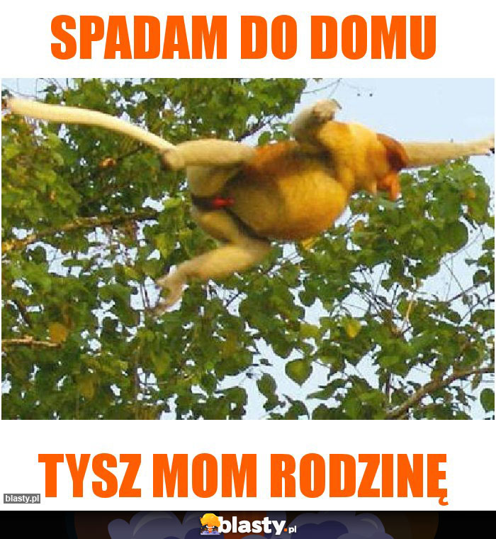Spadam do domu
