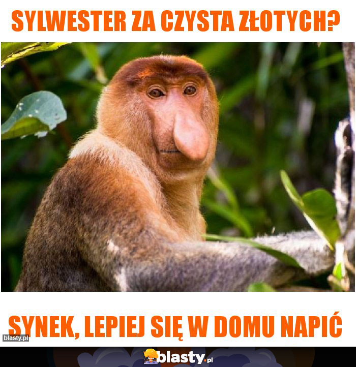 Sylwester za czysta złotych?