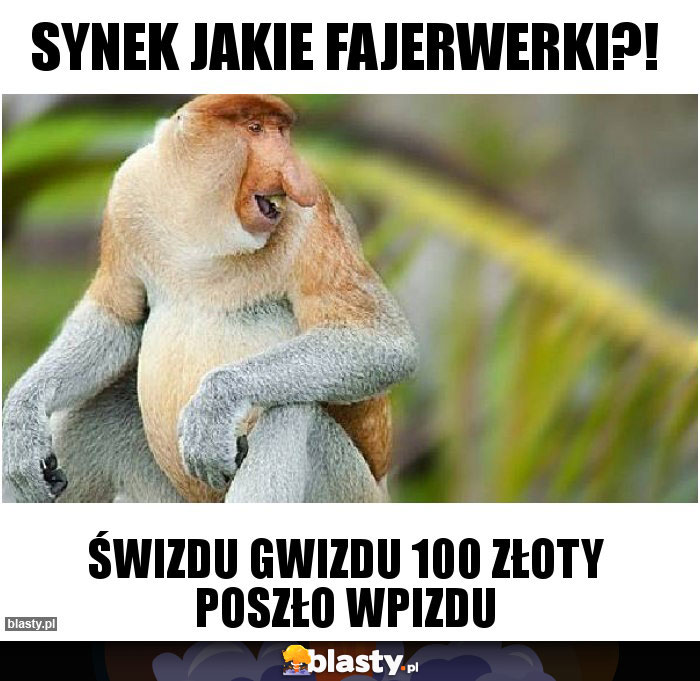 Synek jakie fajerwerki?! Synek jakie fajerwerki?!