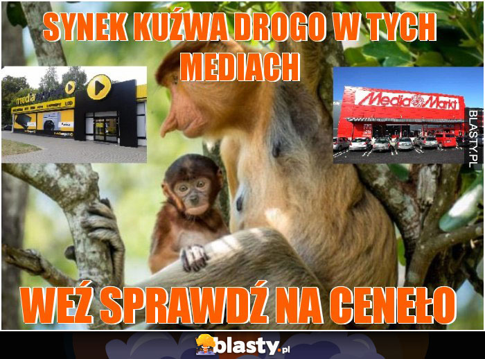 SYNEK KUŹWA DROGO W TYCH MEDIACH SYNEK KUŹWA DROGO W TYCH MEDIACH