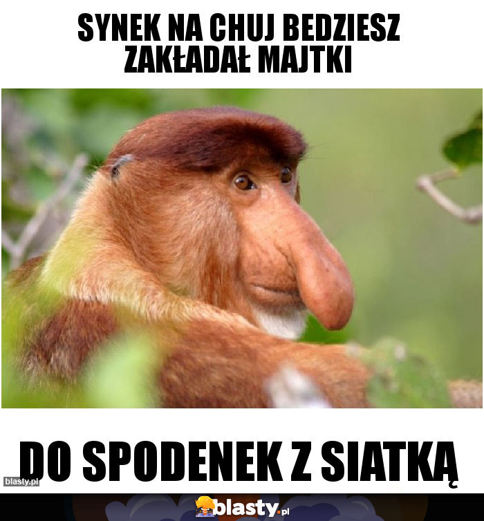 SYNEK NA CHUJ BEDZIESZ ZAKŁADAŁ MAJTKI