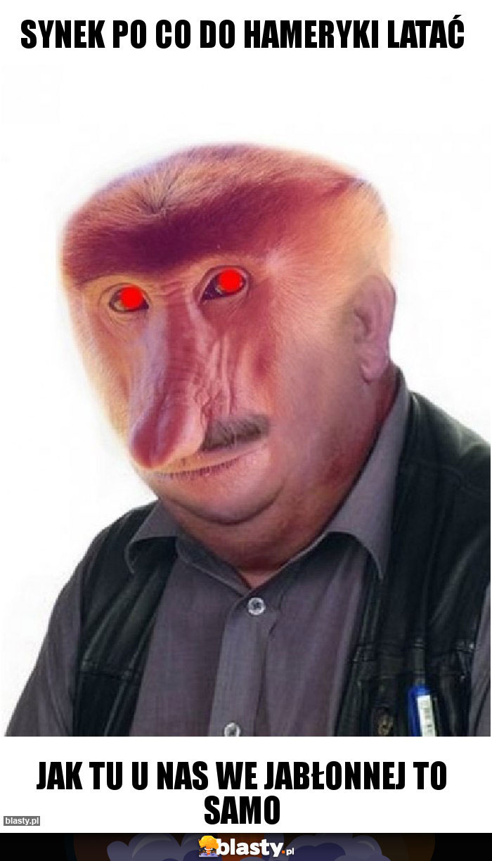 Synek po co do Hameryki latać