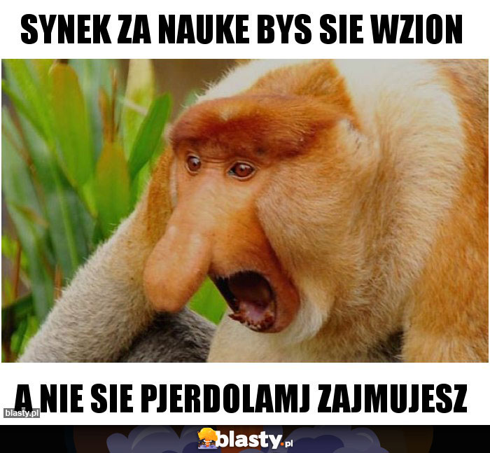 SYNEK ZA NAUKE BYS SIE WZION