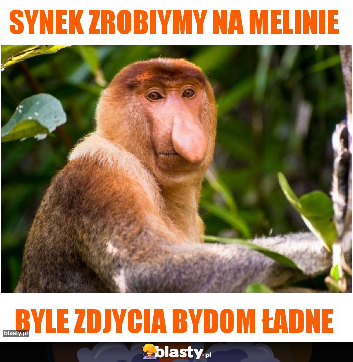 SYNEK ZROBIYMY NA MELINIE