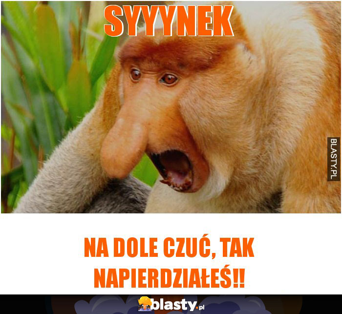 Syyynek