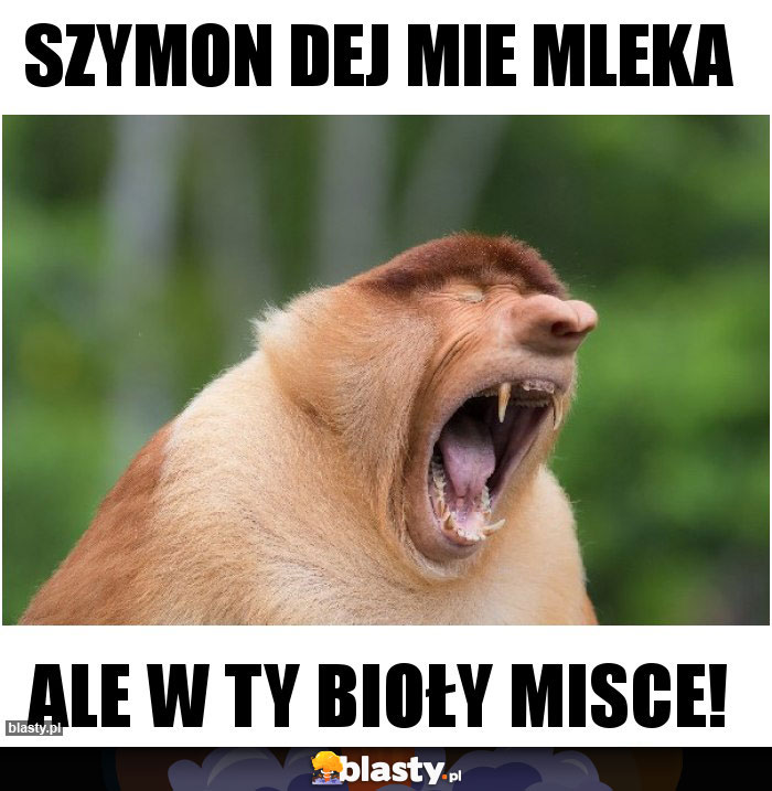 Szymon dej mie mleka