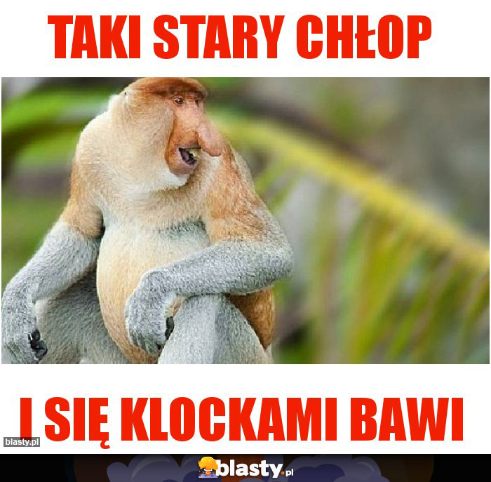 TAKI STARY CHŁOP TAKI STARY CHŁOP