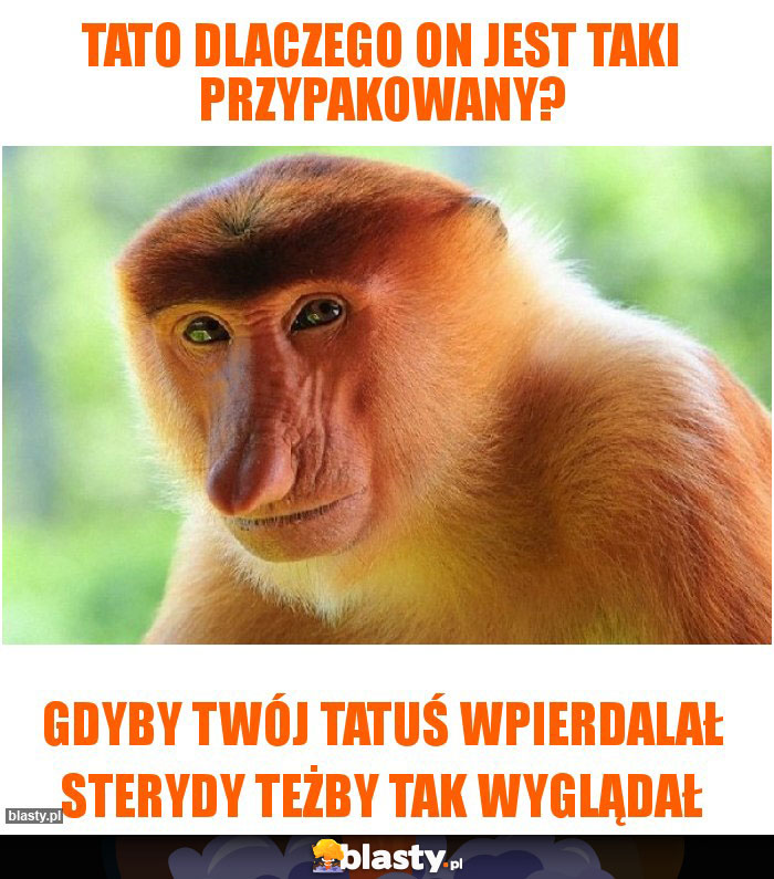 tato dlaczego on jest taki przypakowany? tato dlaczego on jest taki przypakowany?