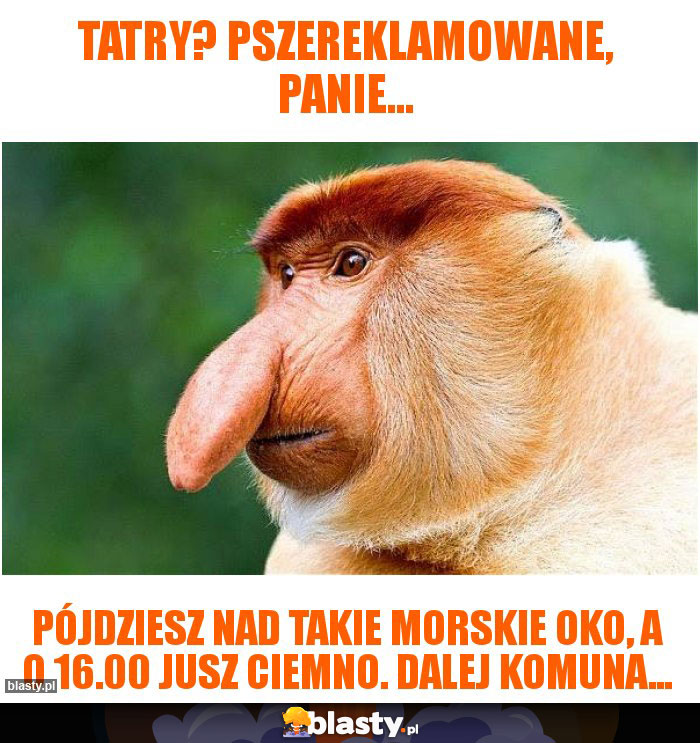 Tatry? Pszereklamowane, panie... Tatry? Pszereklamowane, panie...