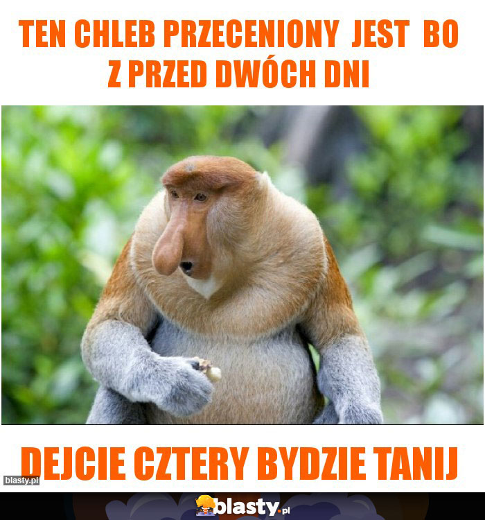 Ten chleb przeceniony  jest  bo z przed dwóch dni