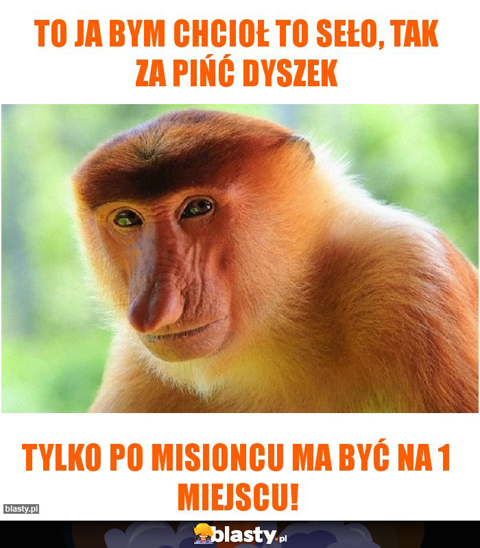 To ja bym chcioł to seło, tak za pińć dyszek