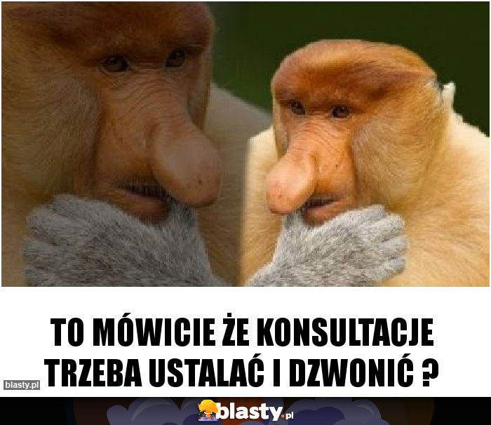 To mówicie że konsultacje trzeba ustalać i dzwonić ?