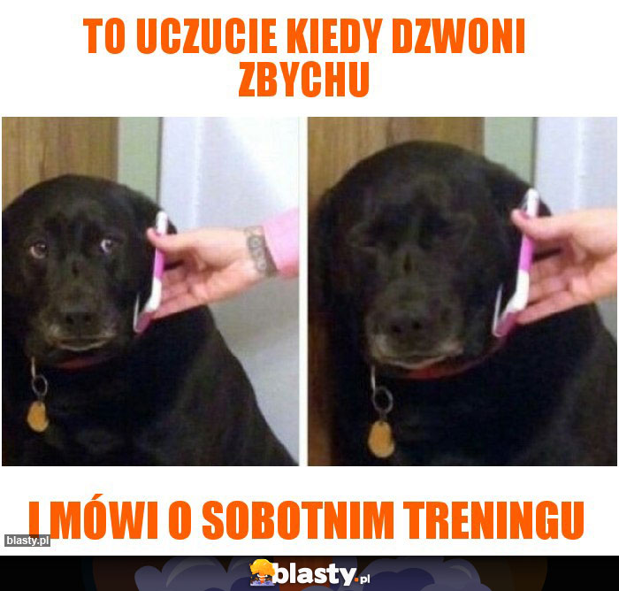 To uczucie kiedy dzwoni Zbychu