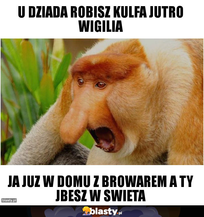 U dziada robisz kulfa jutro wigilia U dziada robisz kulfa jutro wigilia