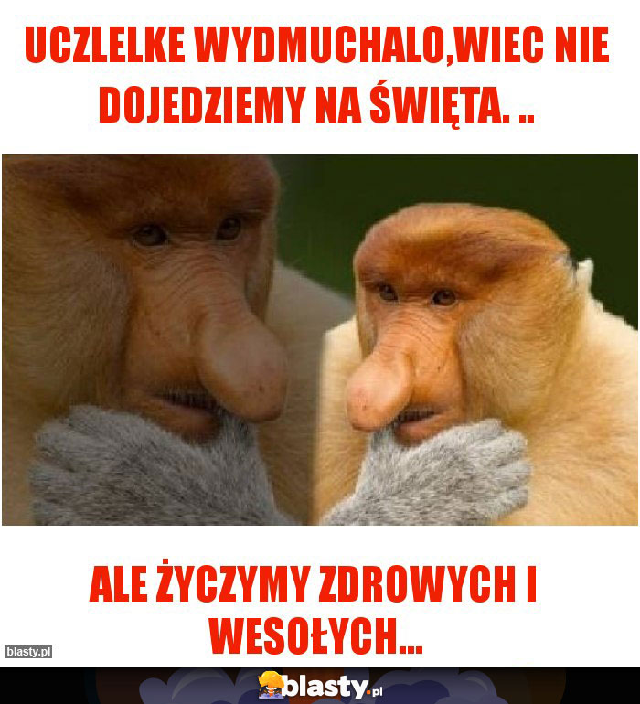 Uczlelke wydmuchalo,wiec nie dojedziemy na Święta. .. Uczlelke wydmuchalo,wiec nie dojedziemy na Święta. ..