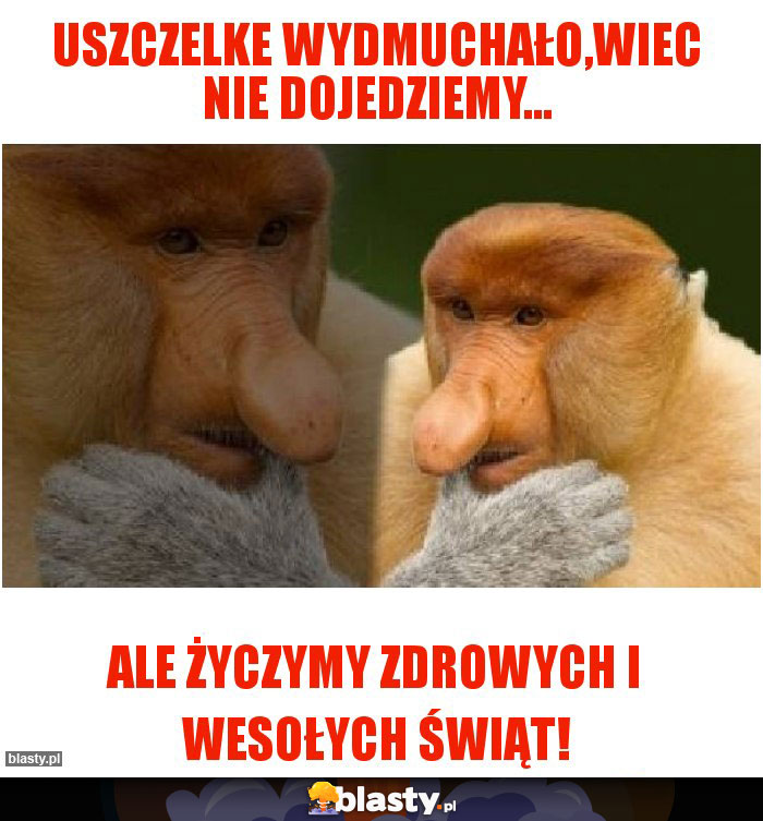 Uszczelke wydmuchało,wiec nie dojedziemy...