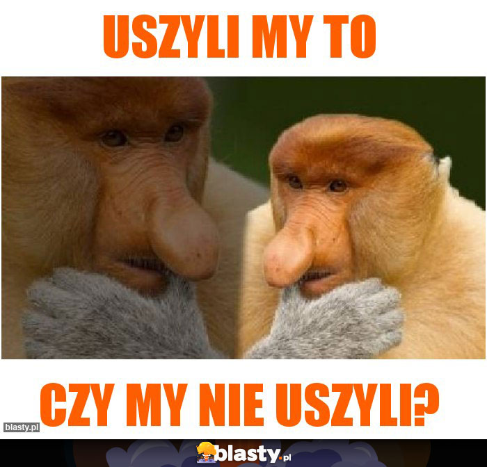 uszyli my to