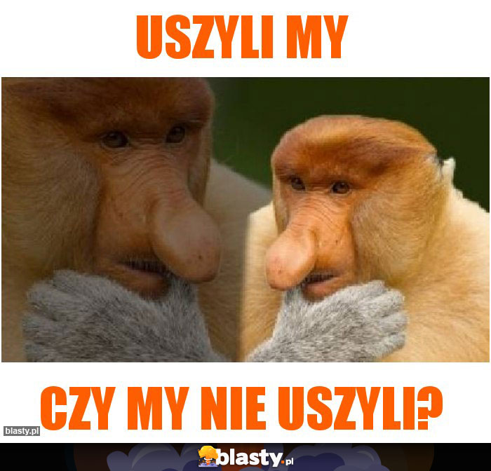 uszyli my