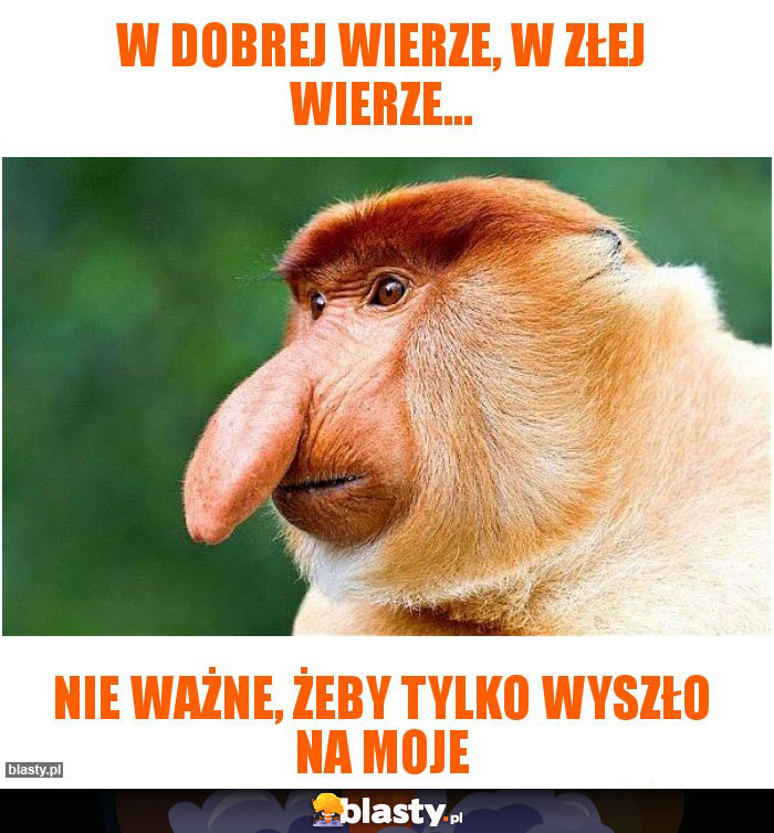 W dobrej wierze, w złej wierze... W dobrej wierze, w złej wierze...