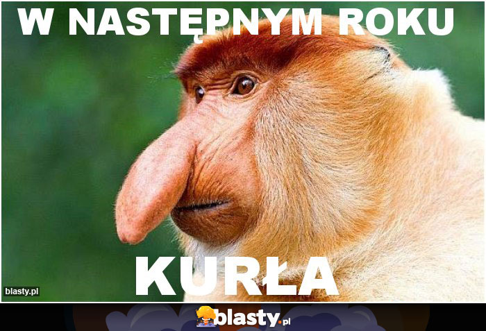 W następnym roku
