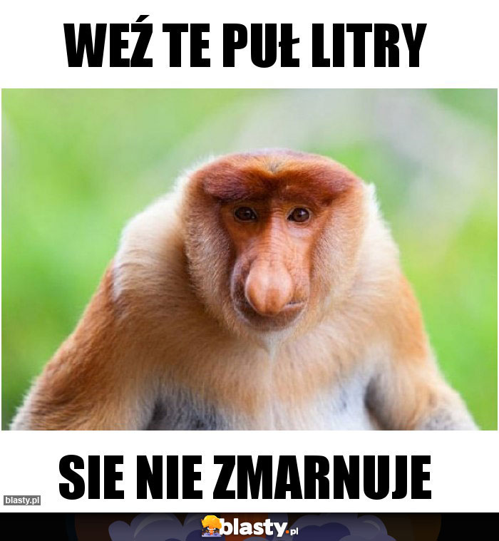 Weź te puł litry Weź te puł litry