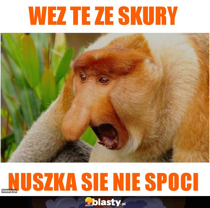 wez te ze skury wez te ze skury