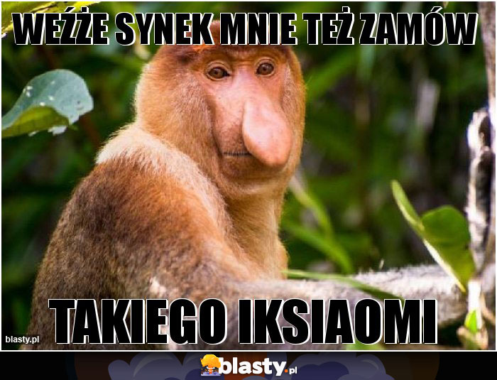 Weźże synek mnie też zamów