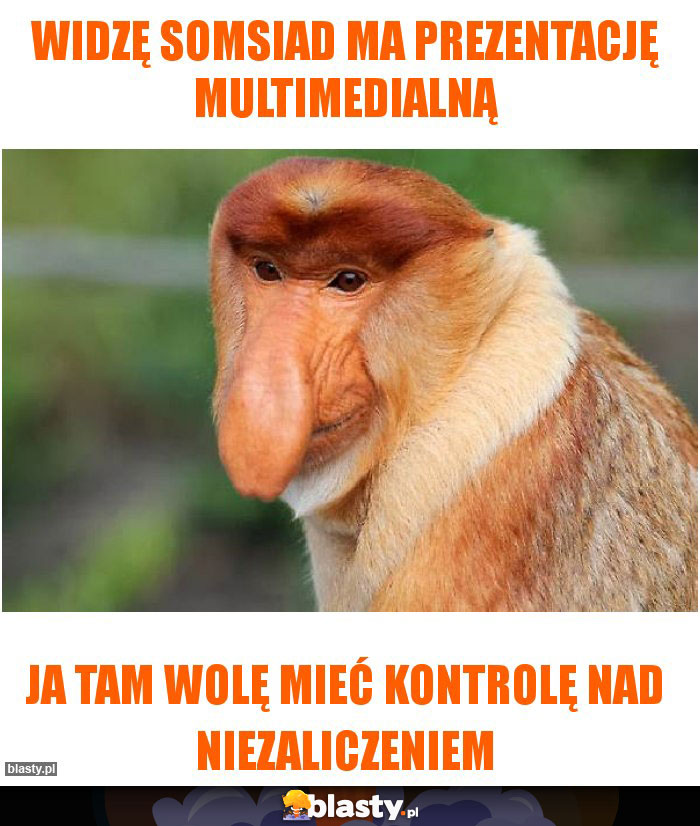 Widzę somsiad ma prezentację multimedialną Widzę somsiad ma prezentację multimedialną