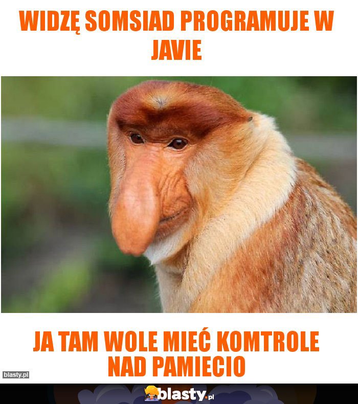 Widzę somsiad programuje w javie Widzę somsiad programuje w javie