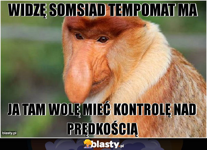 Widzę somsiad tempomat ma Widzę somsiad tempomat ma