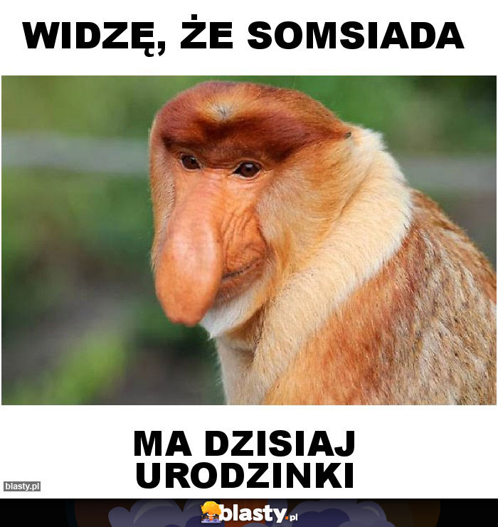 Widzę, że somsiada