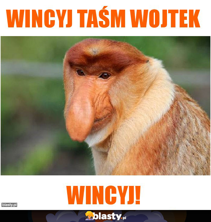 WIncyj Taśm Wojtek